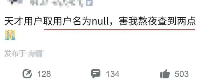 null啥意思
