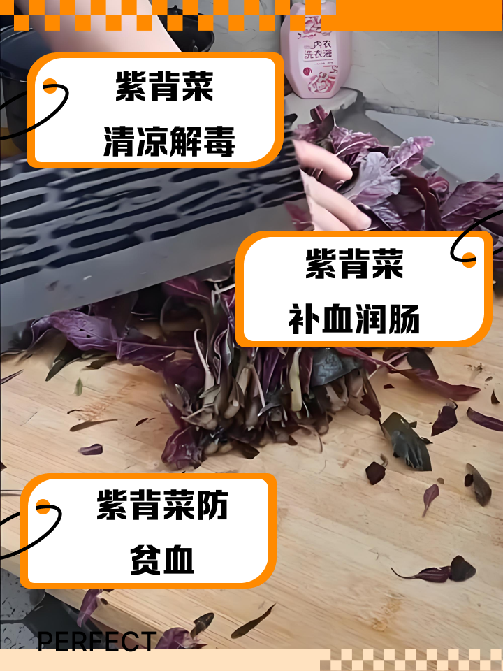 紫背菜致癌是真的吗